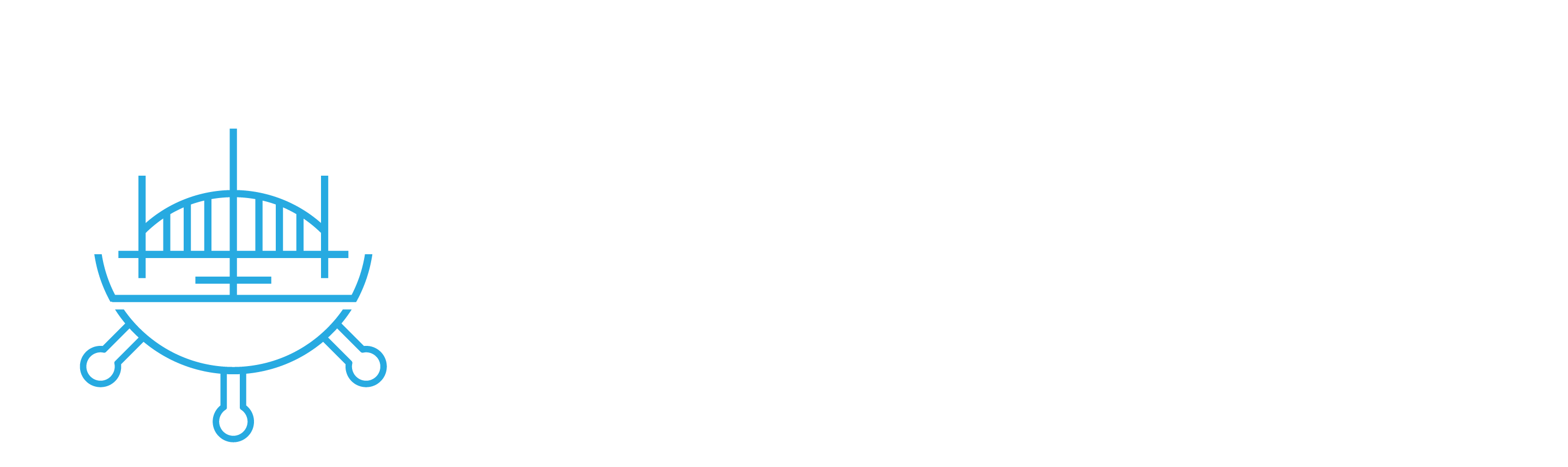Bridge Helm Logo